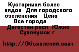 Кустарники более 100 видов. Для городского озеленения › Цена ­ 70 - Все города  »    . Дагестан респ.,Южно-Сухокумск г.